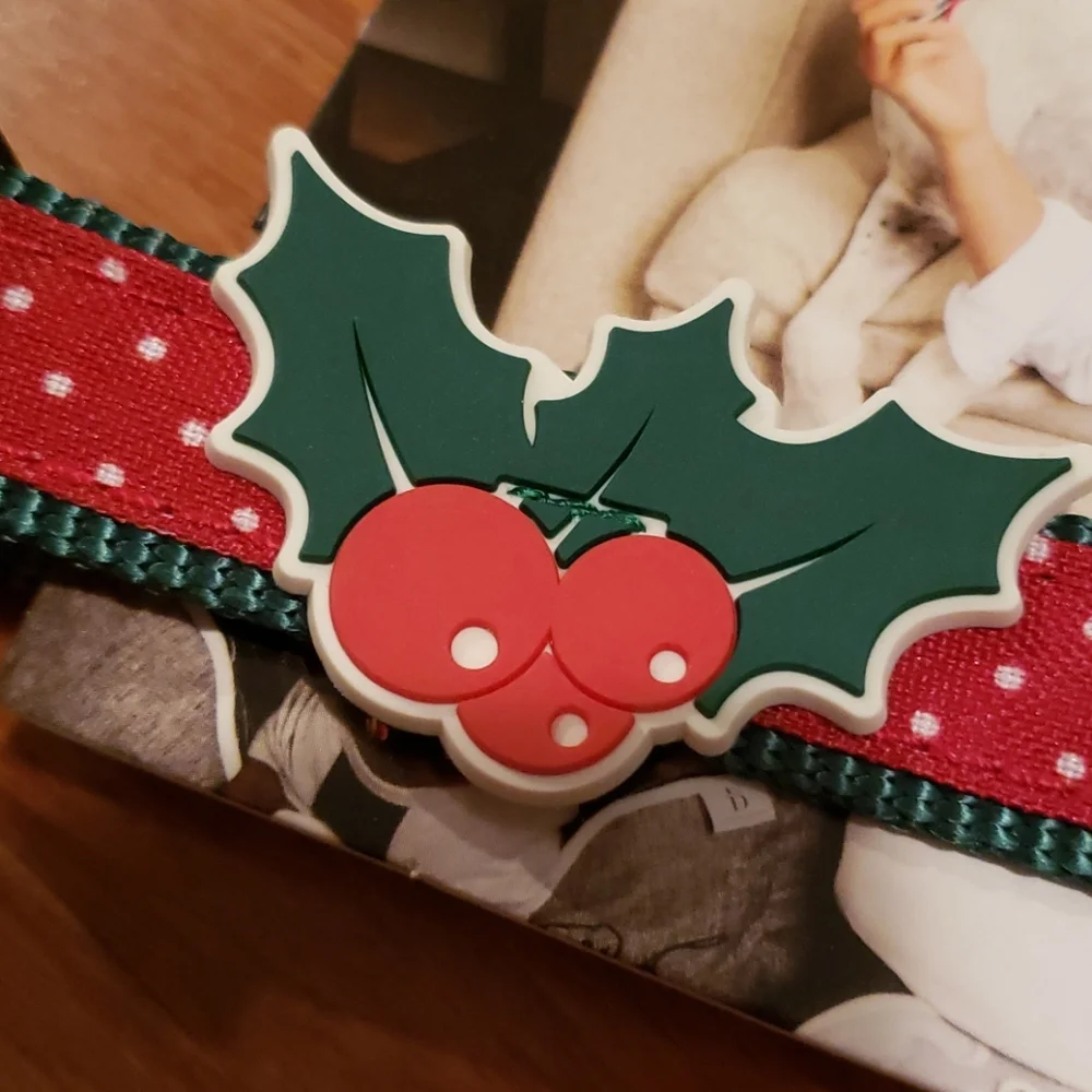 N/A festive dog